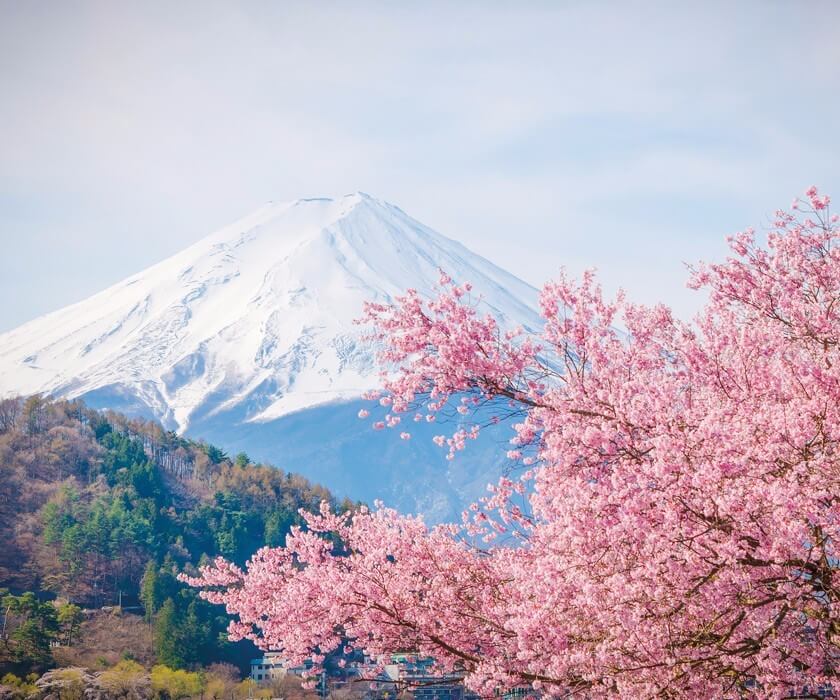 Тур в Японию: Краски японской весны